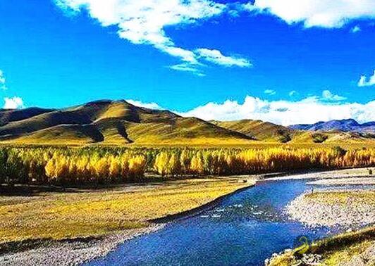 1486.jpg 国内唯一一条不收费的高速公路-----总投资380亿元的拉林高速 中国沥青网,sinoasphalt.com