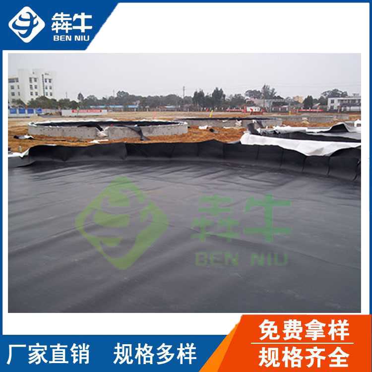 土工膜1 (4).jpg