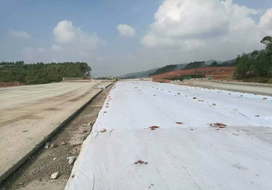 mmexport1479353704941.jpg mmexport1479353704941.jpg