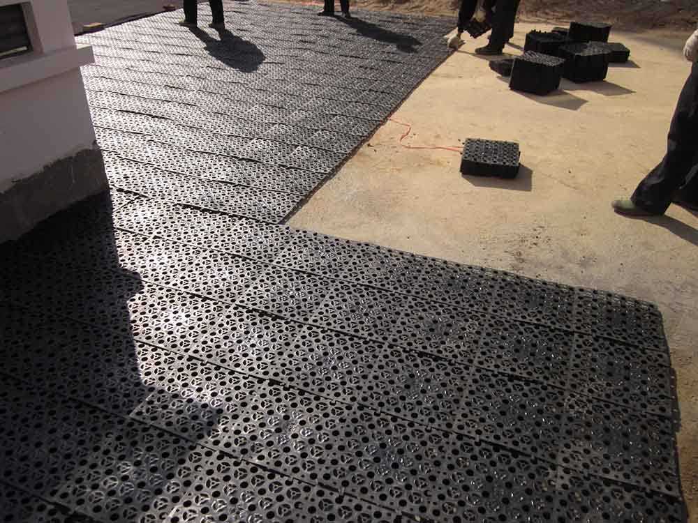 t4ertg1543.jpg t4ertg1543.jpg