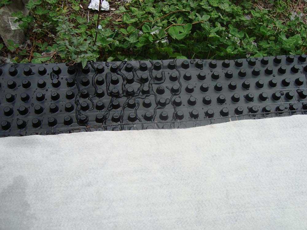 DSC02721.jpg DSC02721.jpg