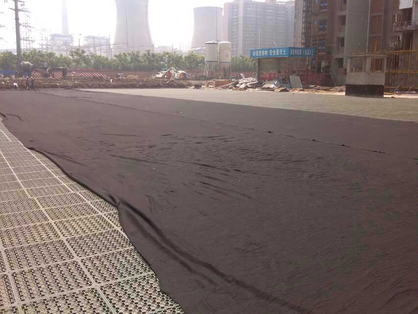 mmexport1466744118753.jpg mmexport1466744118753.jpg