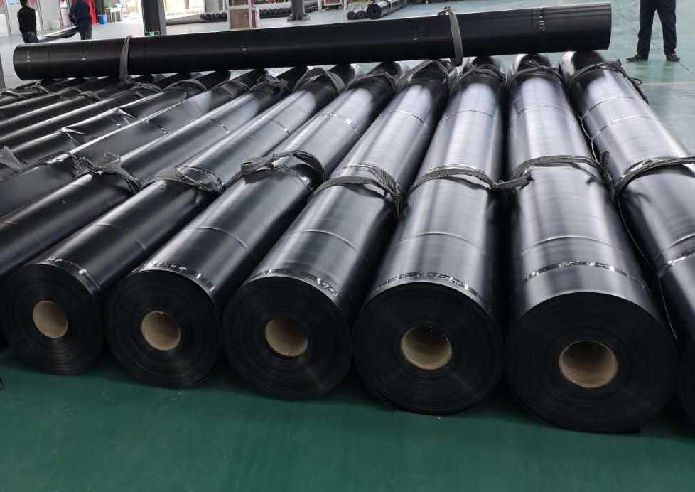 1111 (3).jpg 1111 (3).jpg