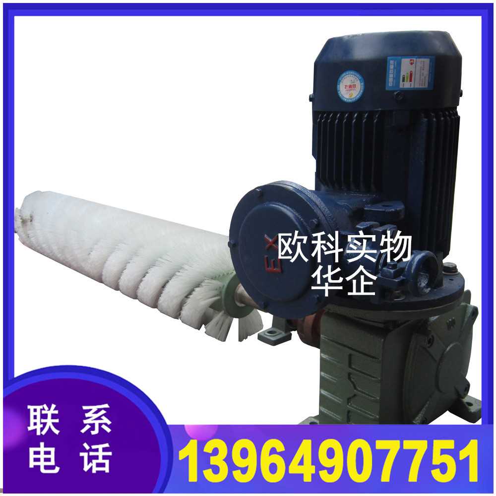 电动滚刷清扫器2.jpg