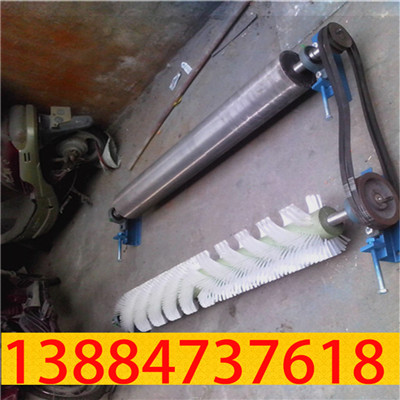 被动滚刷清扫器05.jpg