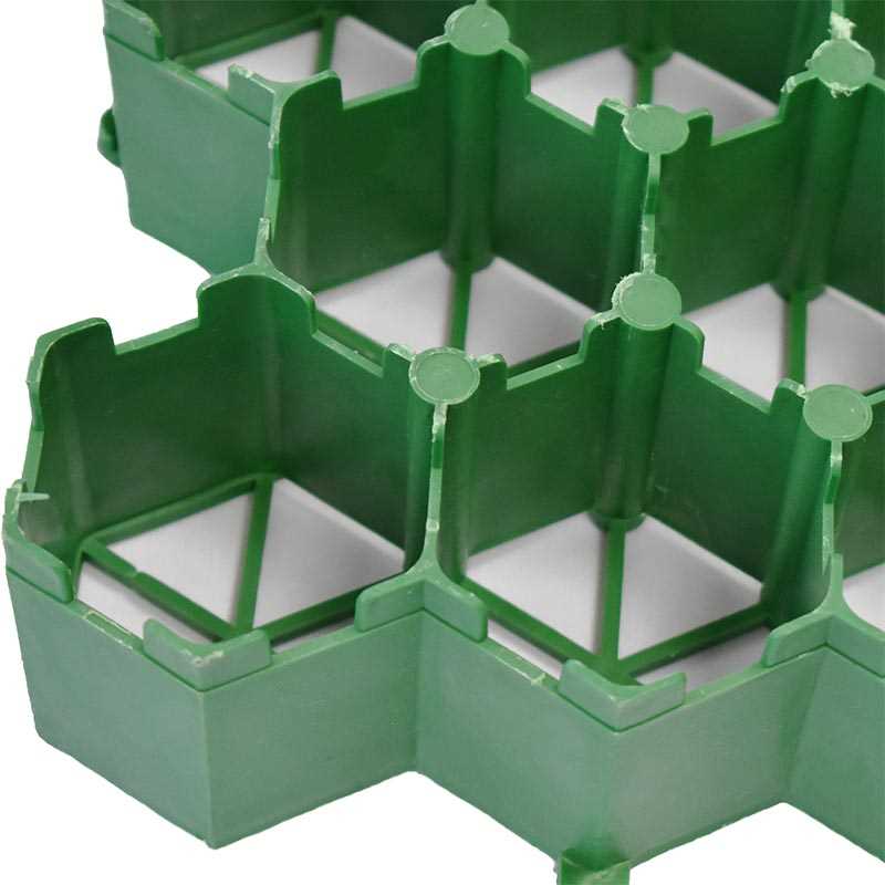 DSC_0009.jpg DSC_0009.jpg