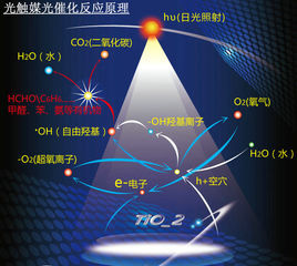 光氧净化设备原理.jpg