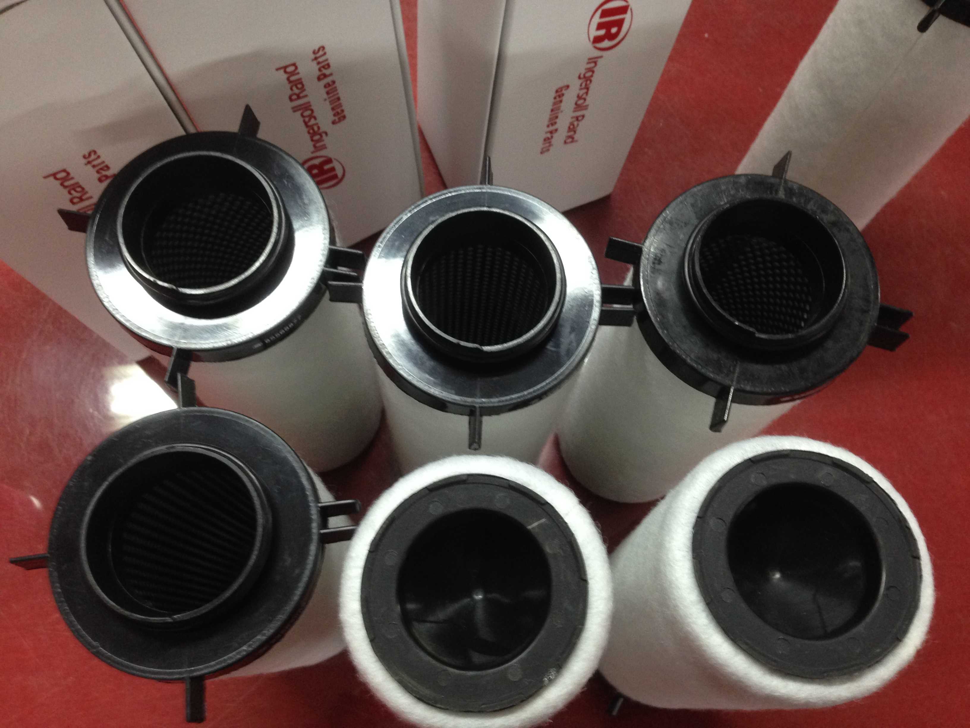 照片 219.jpg 照片 219.jpg