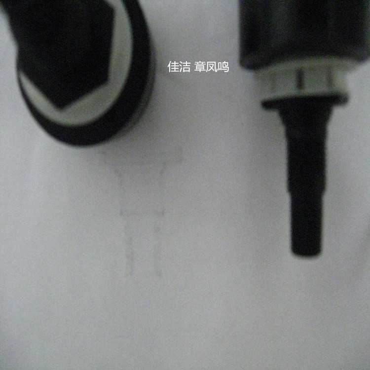 照片 2907_副本.jpg