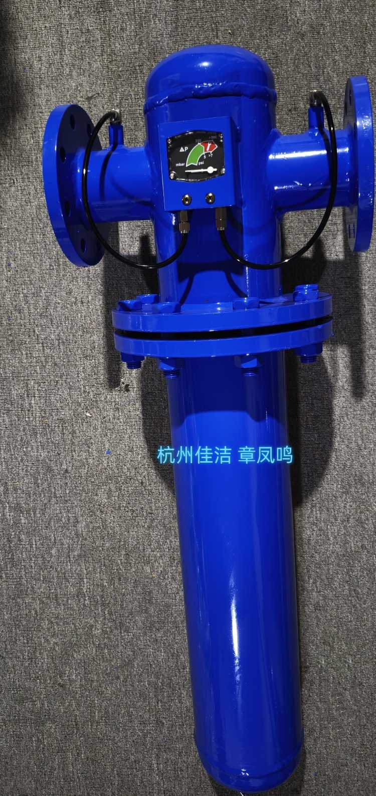 兰色的碳钢过滤器, (2)_副本.jpg 兰色的碳钢过滤器, (2)_副本.jpg