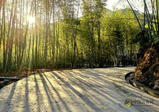 浙江温州鹿城建设“四好农村路”：修一条路 造一片景 沥青网，sinoasphalt.com