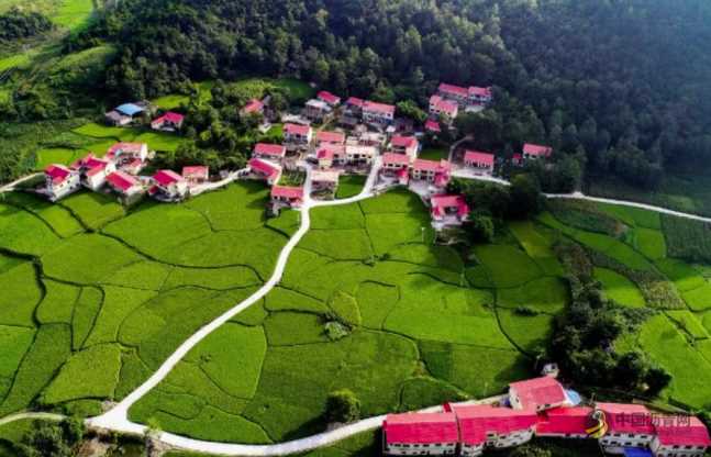 交通运输部印发通知部署积极扩大有效投资工作 沥青网，sinoasphalt.com