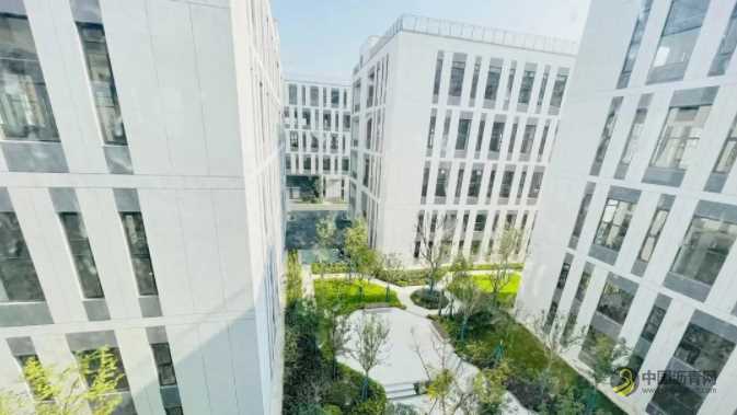 三棵树连续三年蝉联建筑涂料类房企品牌首选率第一 沥青网，sinoasphalt.com